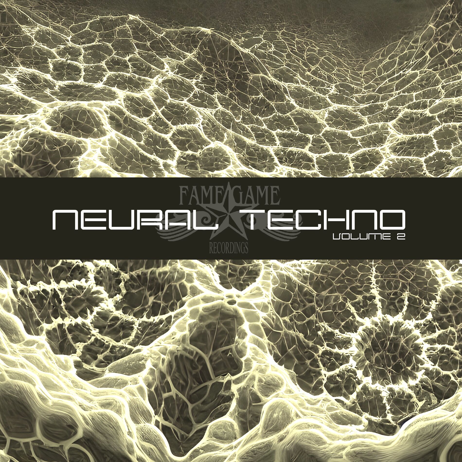 Album cover of Neural Techno, Vol. 2