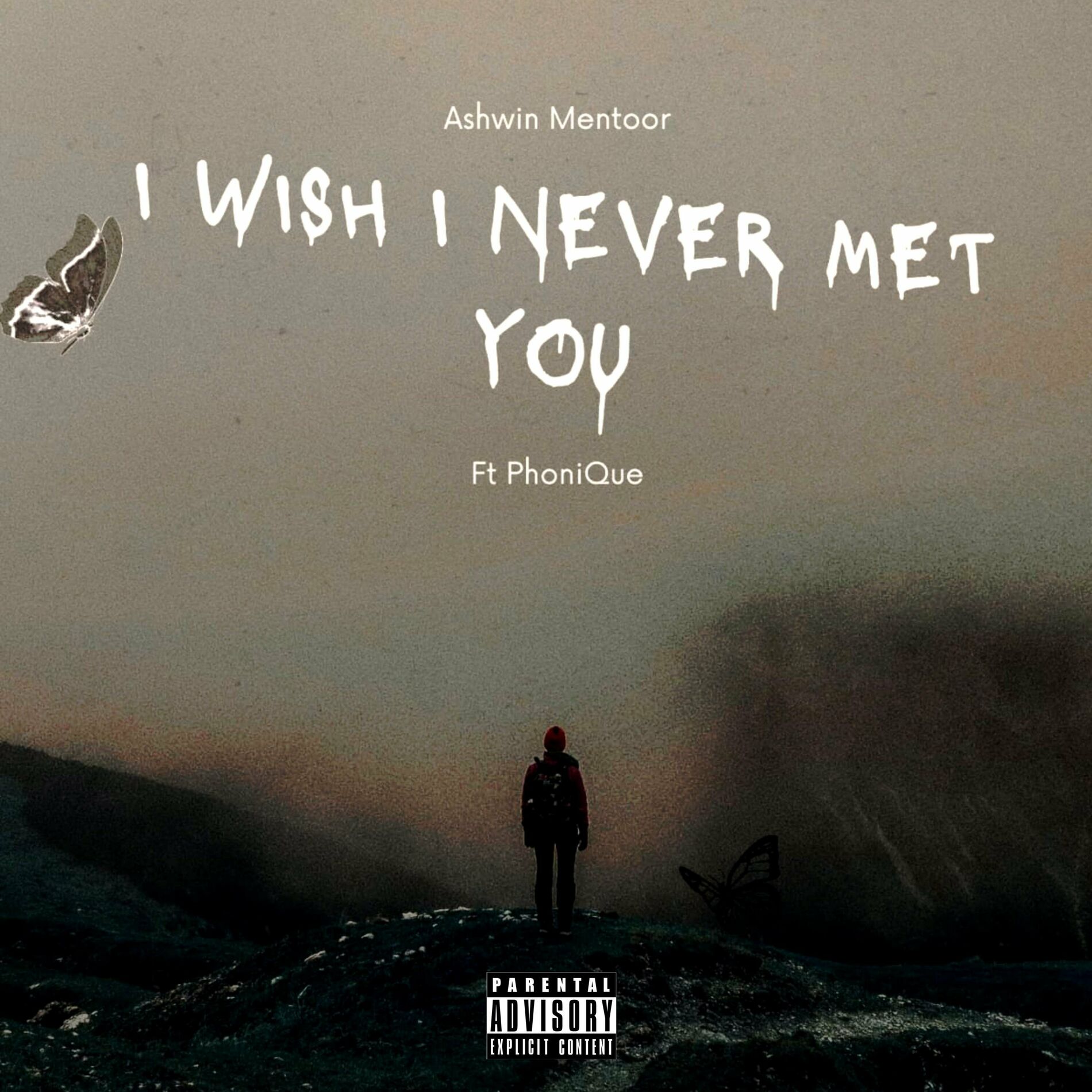 Album cover of I Wish I Never Met You (Remix)