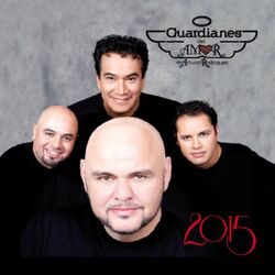 Cover of 2015