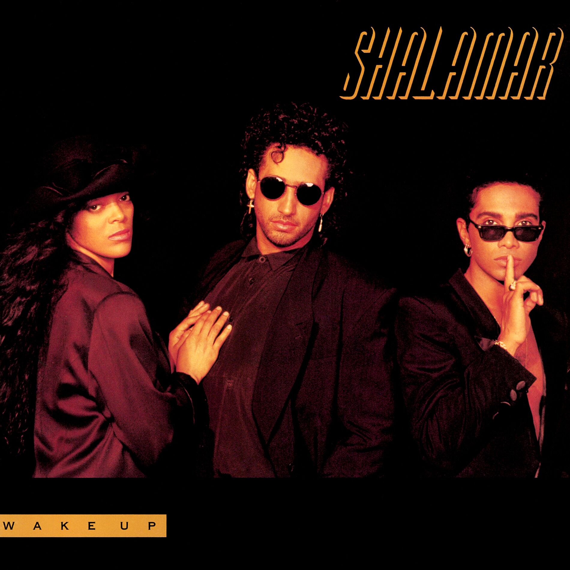 Album cover of Wake Up