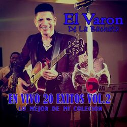 Cover of 20 Exitos, Vol. 2 - Lo Mejor de Mi Colecion (En Vivo)