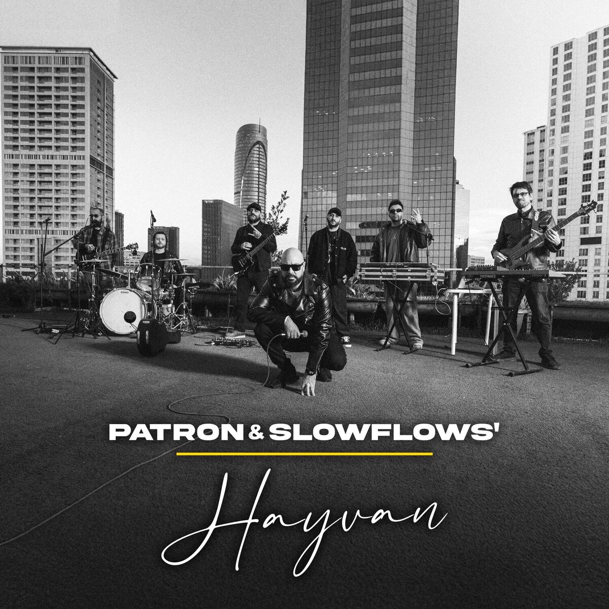 Album cover of HAYVAN