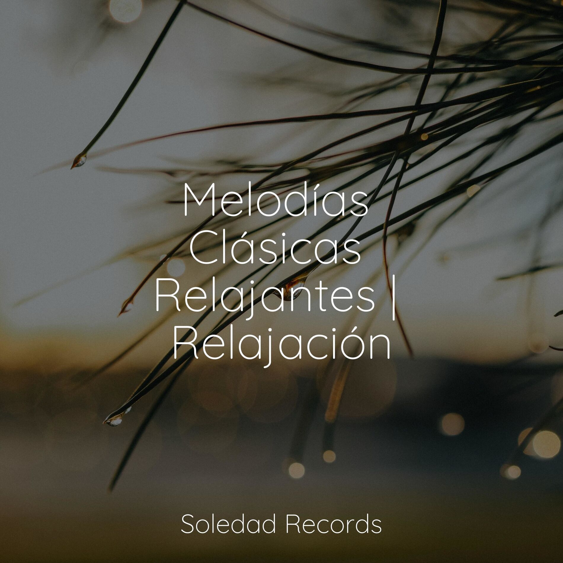 Album cover of Melodías Clásicas Relajantes | Relajación