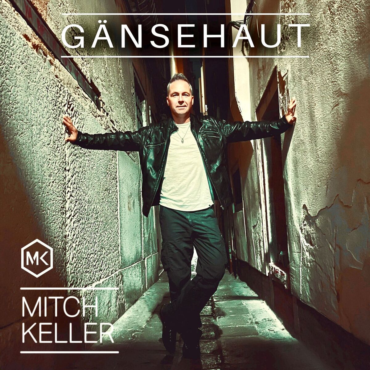 Album cover of Gänsehaut