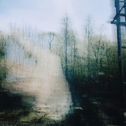 greener grass by Softfall - 107 BPM