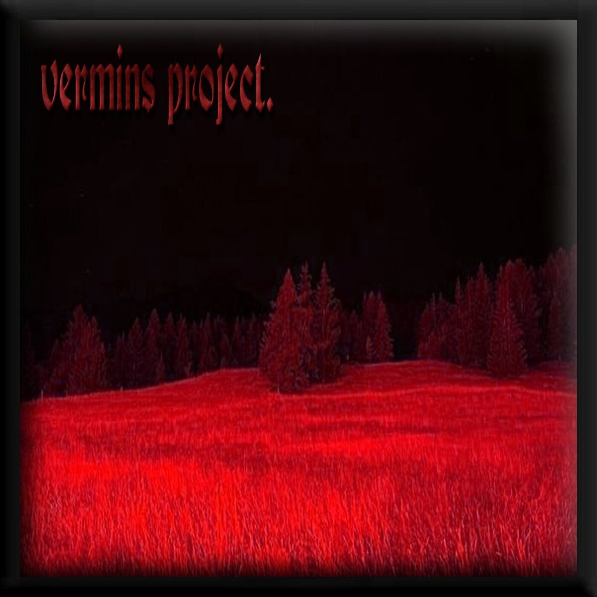 Album cover of Vermins Project