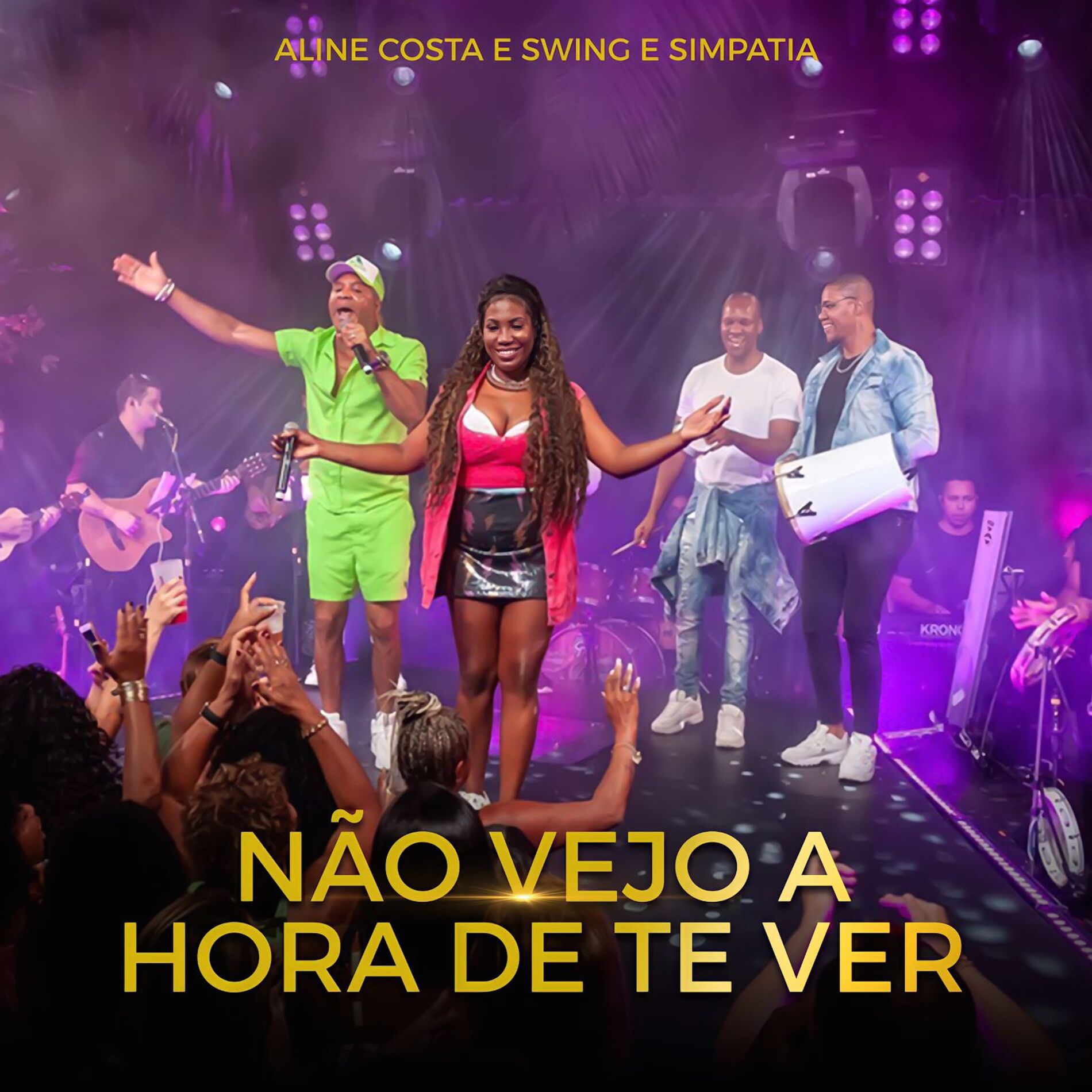 Album cover of Não Vejo a Hora de Te Ver