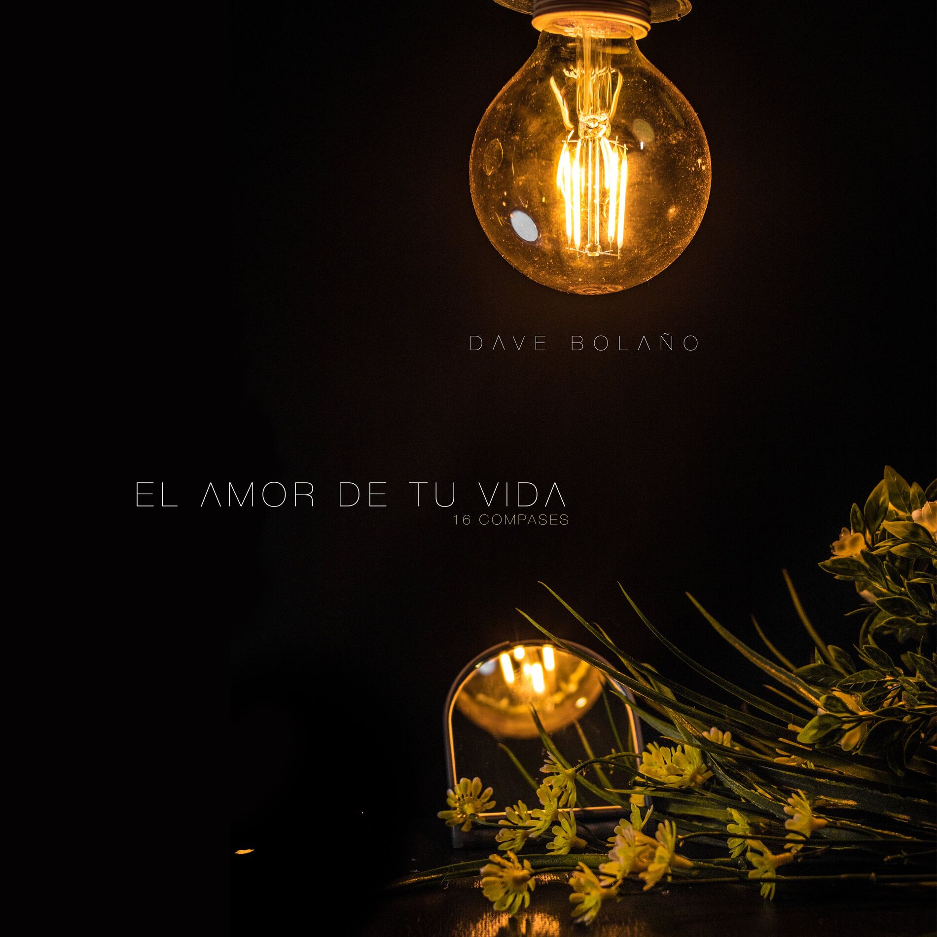 Album cover of El Amor de Tu Vida