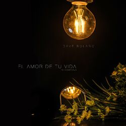 Cover of El Amor de Tu Vida