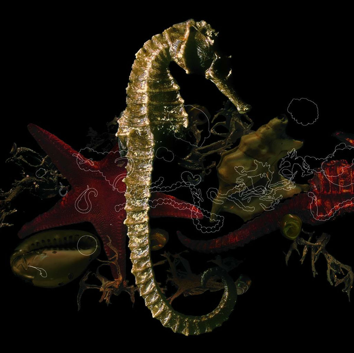 Album cover of C'Est La Vie