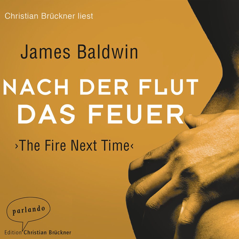 Picture of Nach der Flut das Feuer (Ungekürzte Lesung)