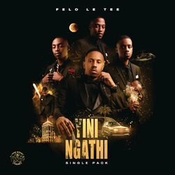 Cover of Yini Ngathi