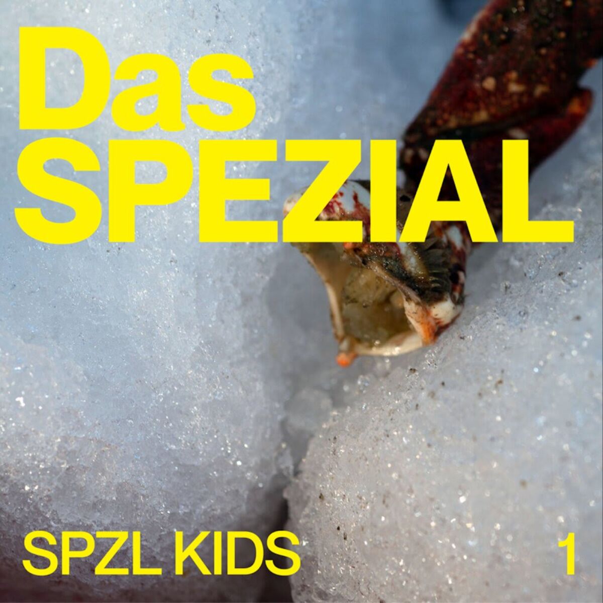 Album cover of SPZL KIDS 1