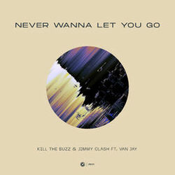 Cover of Never Wanna Let You Go