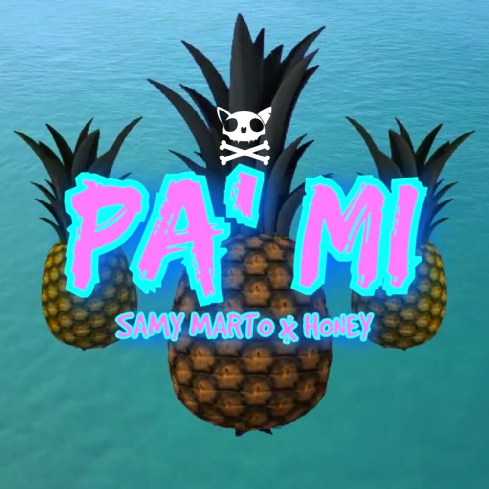 Picture of Pa' Mi