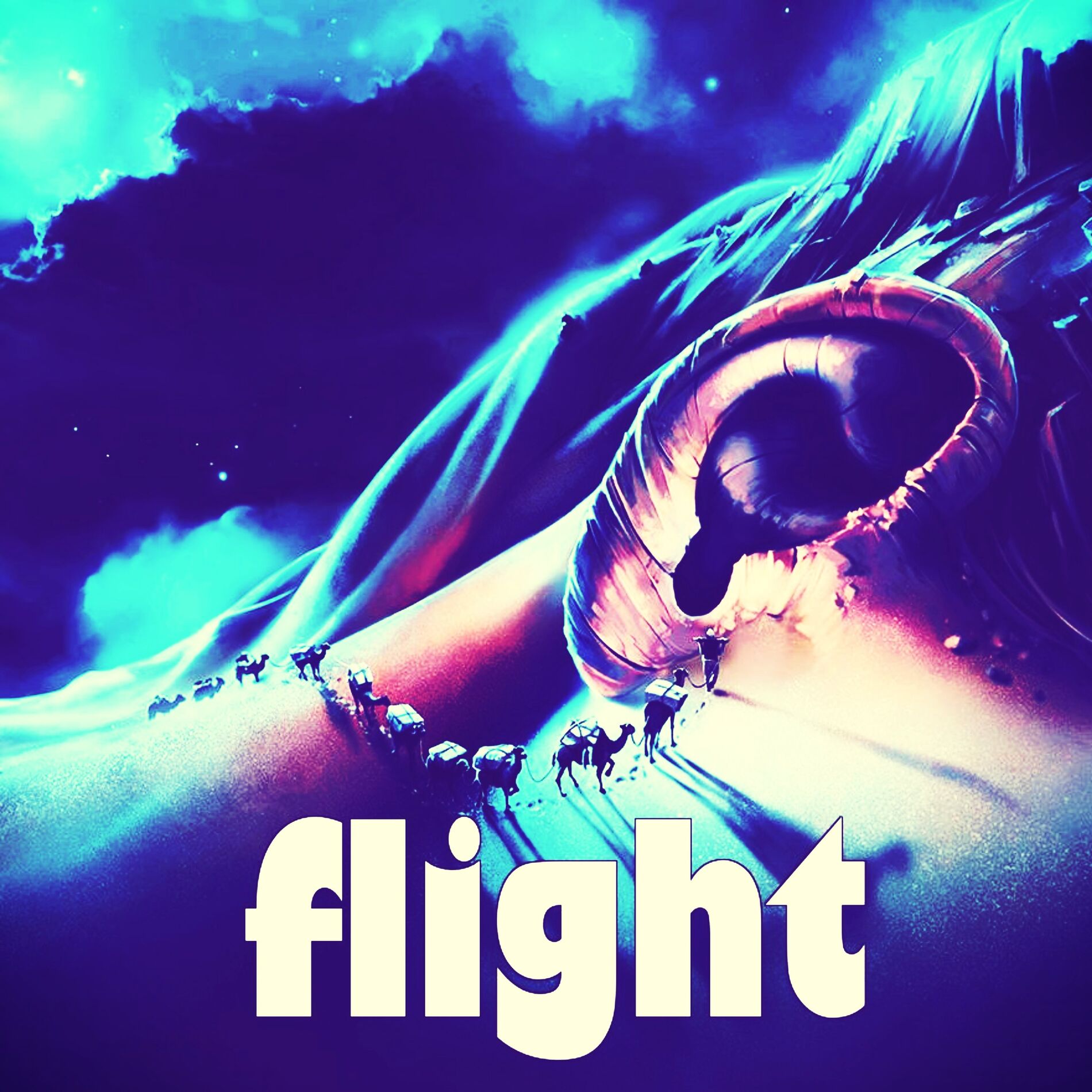 Album cover of flight