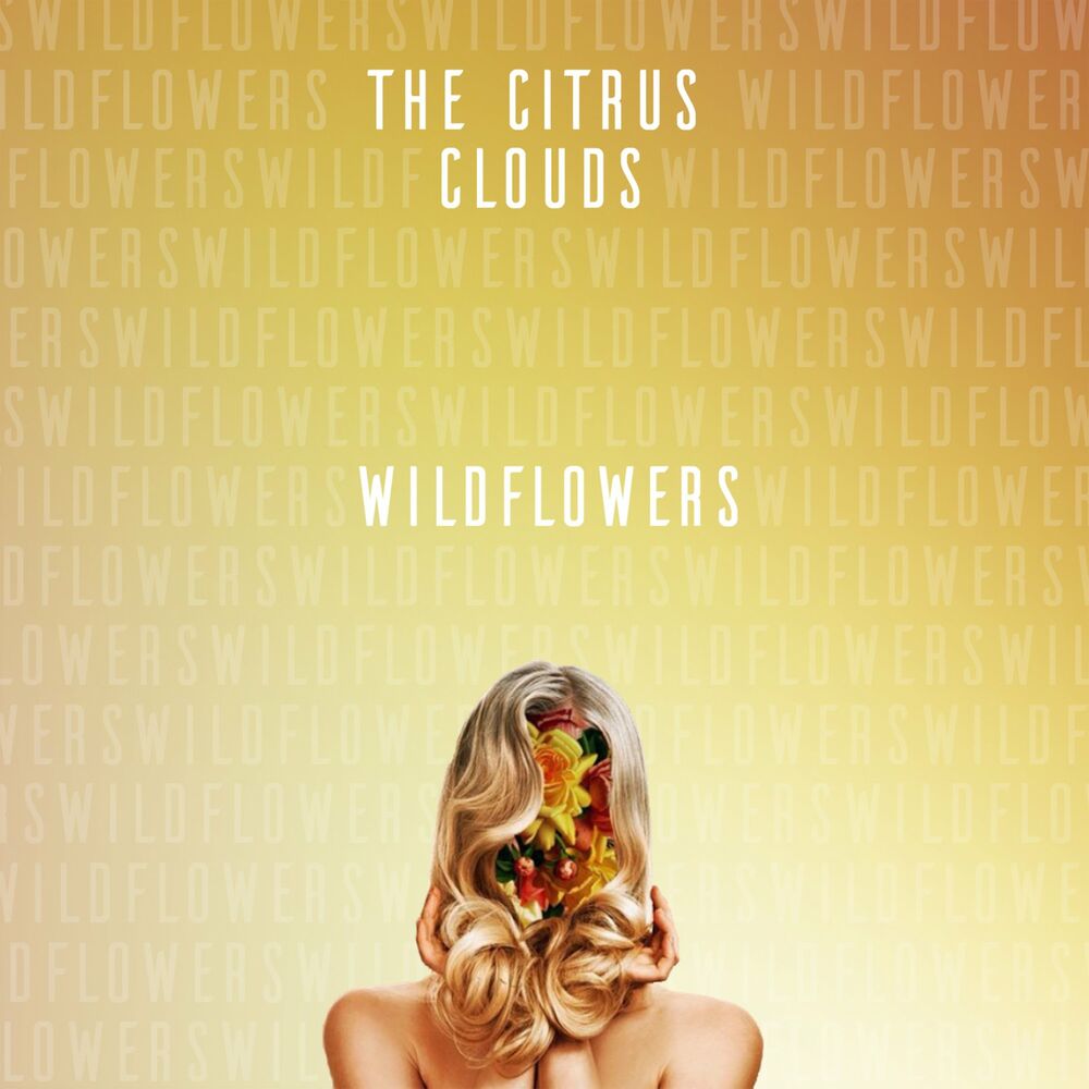 Picture of Wildflowers