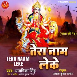 Cover of Tera Naam Leke