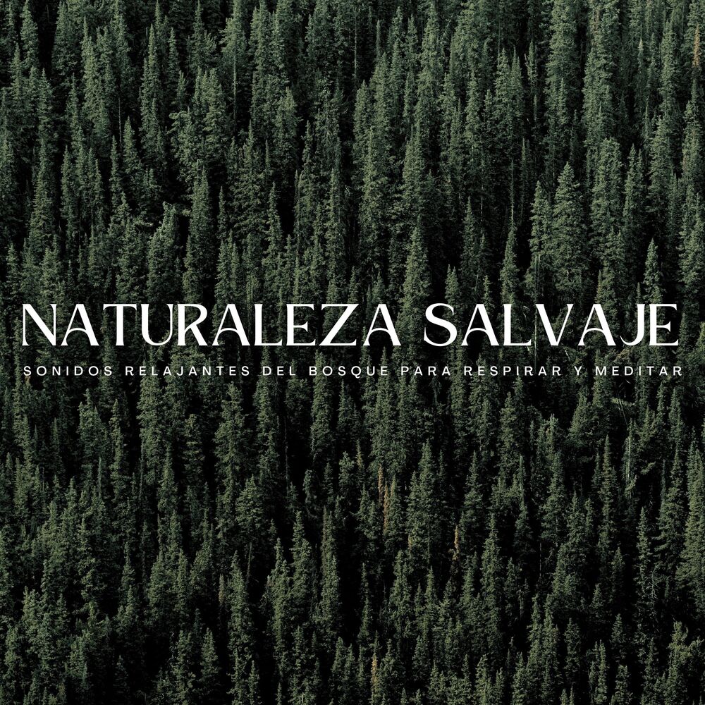 Picture of Naturaleza Salvaje: Sonidos Relajantes Del Bosque Para Respirar Y Meditar