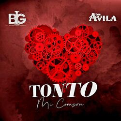 Cover of Tonto Mi Corazon