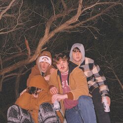 Cover of Nothing Holding Me Back