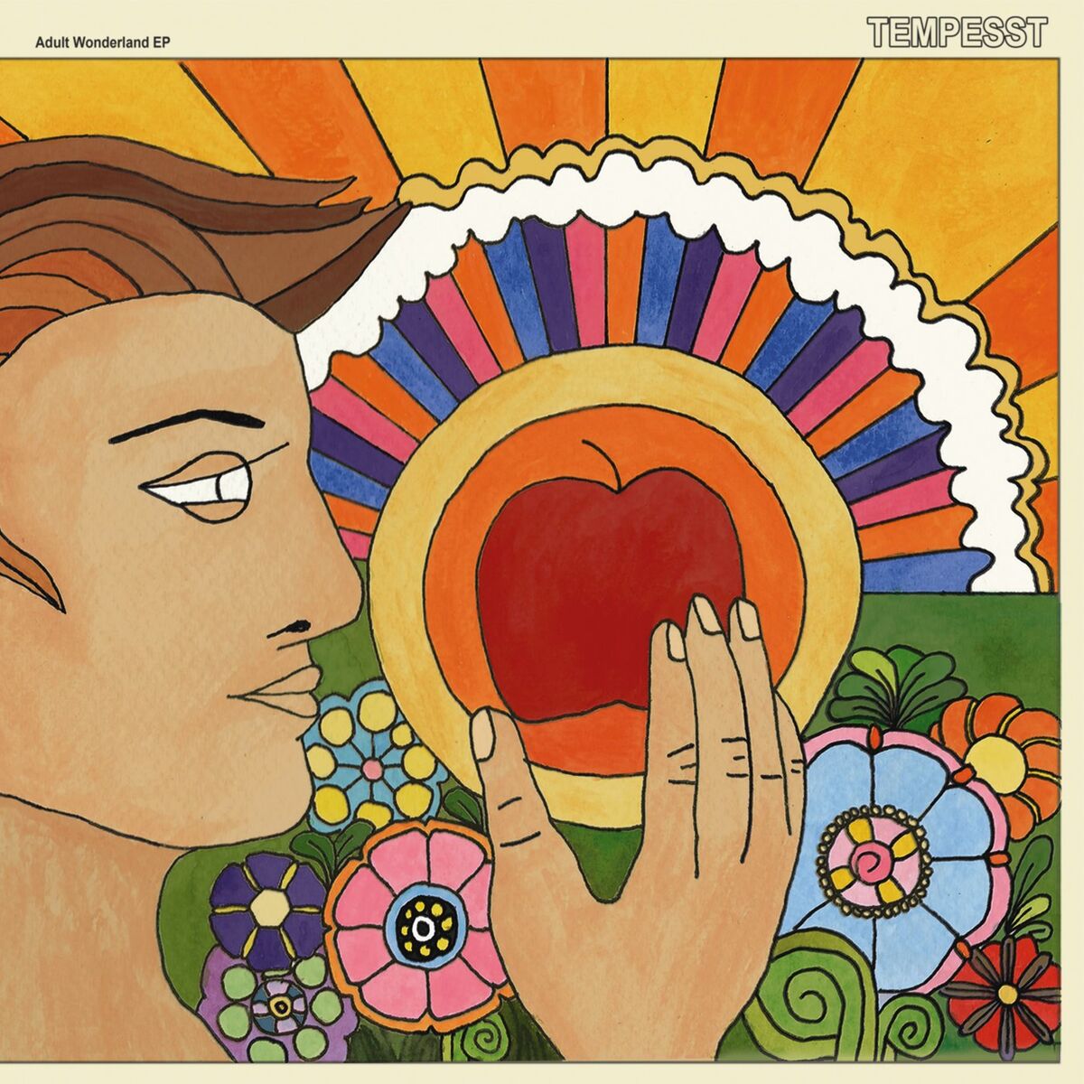Album cover of Adult Wonderland