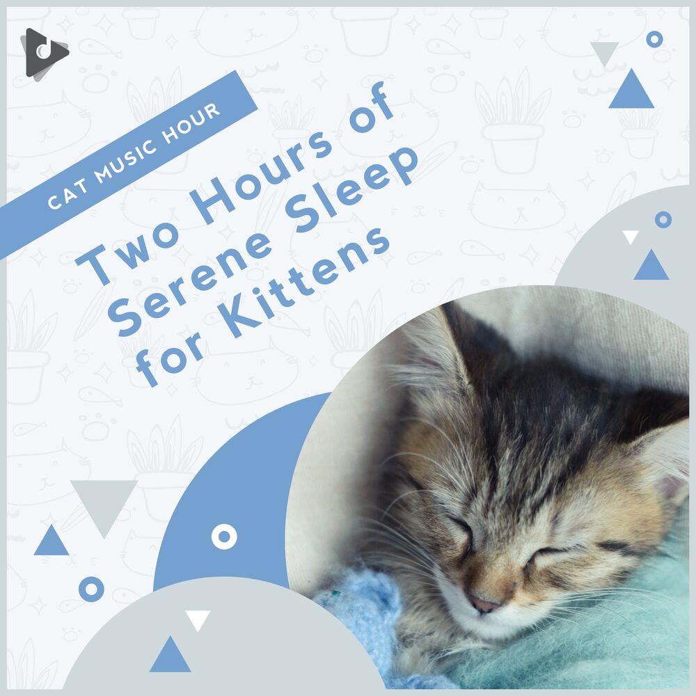 Picture of 2 Hours of Serene Sleep for Kittens
