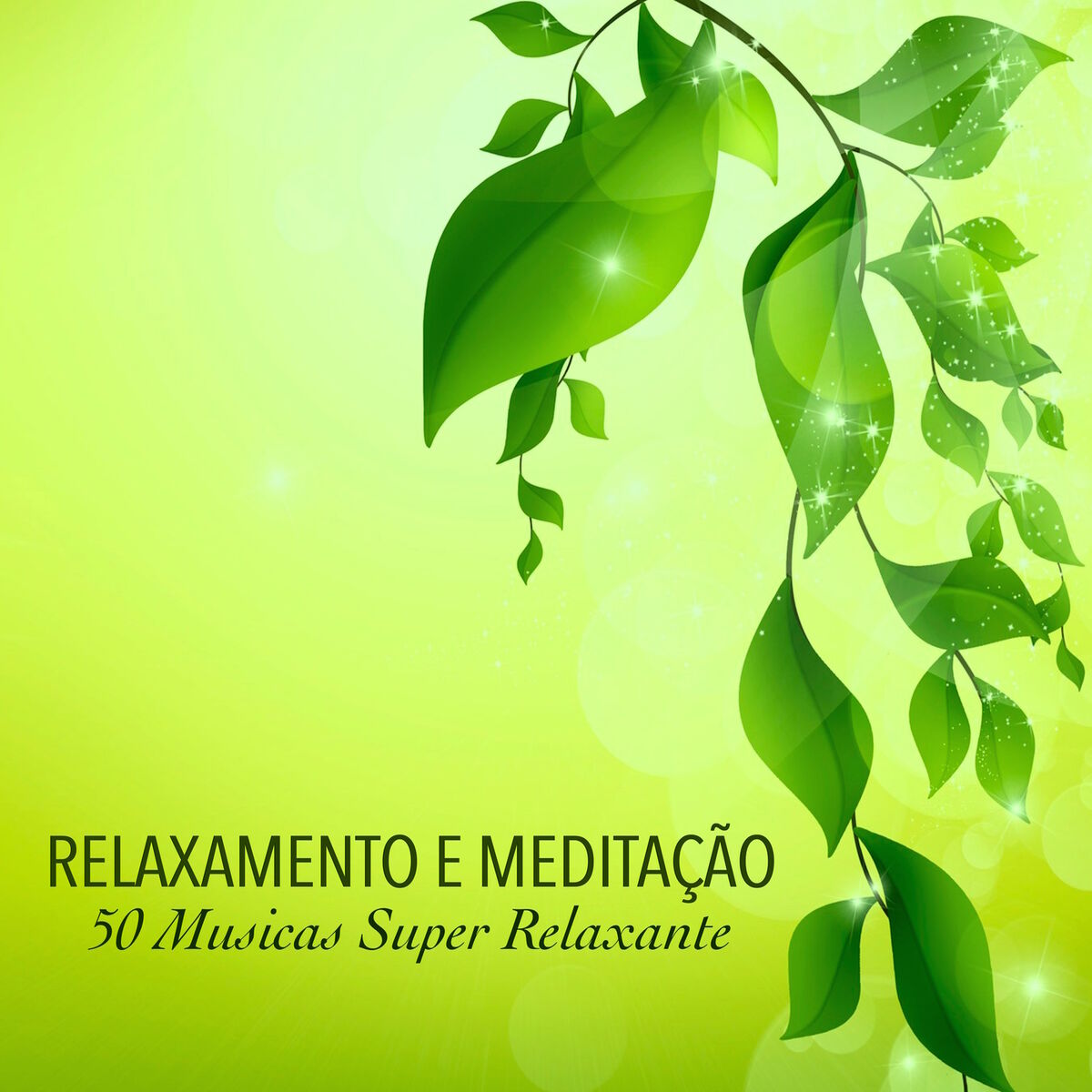 Album cover of Relaxamento e Meditação - 50 Musicas Super Relaxante para Sono, Paz e Serenidade, Musicas Instrumentais Tranquilas