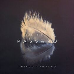 Cover of Como um Pássaro