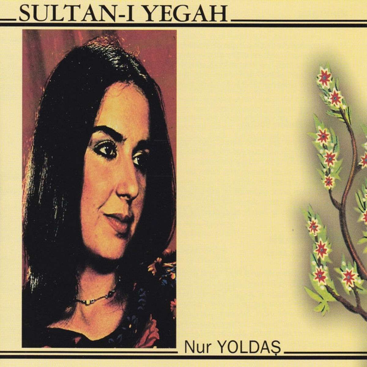 Album cover of Sultan-ı Yegah