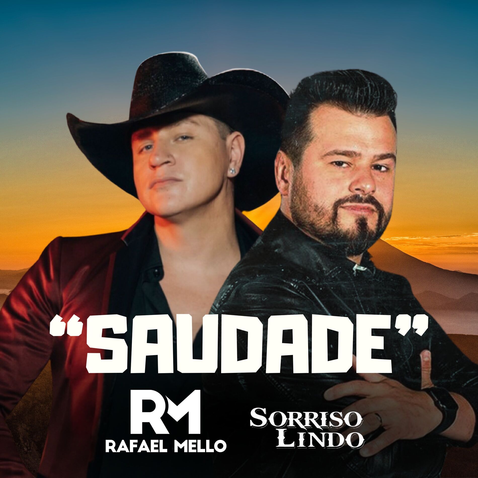 Album cover of Saudade