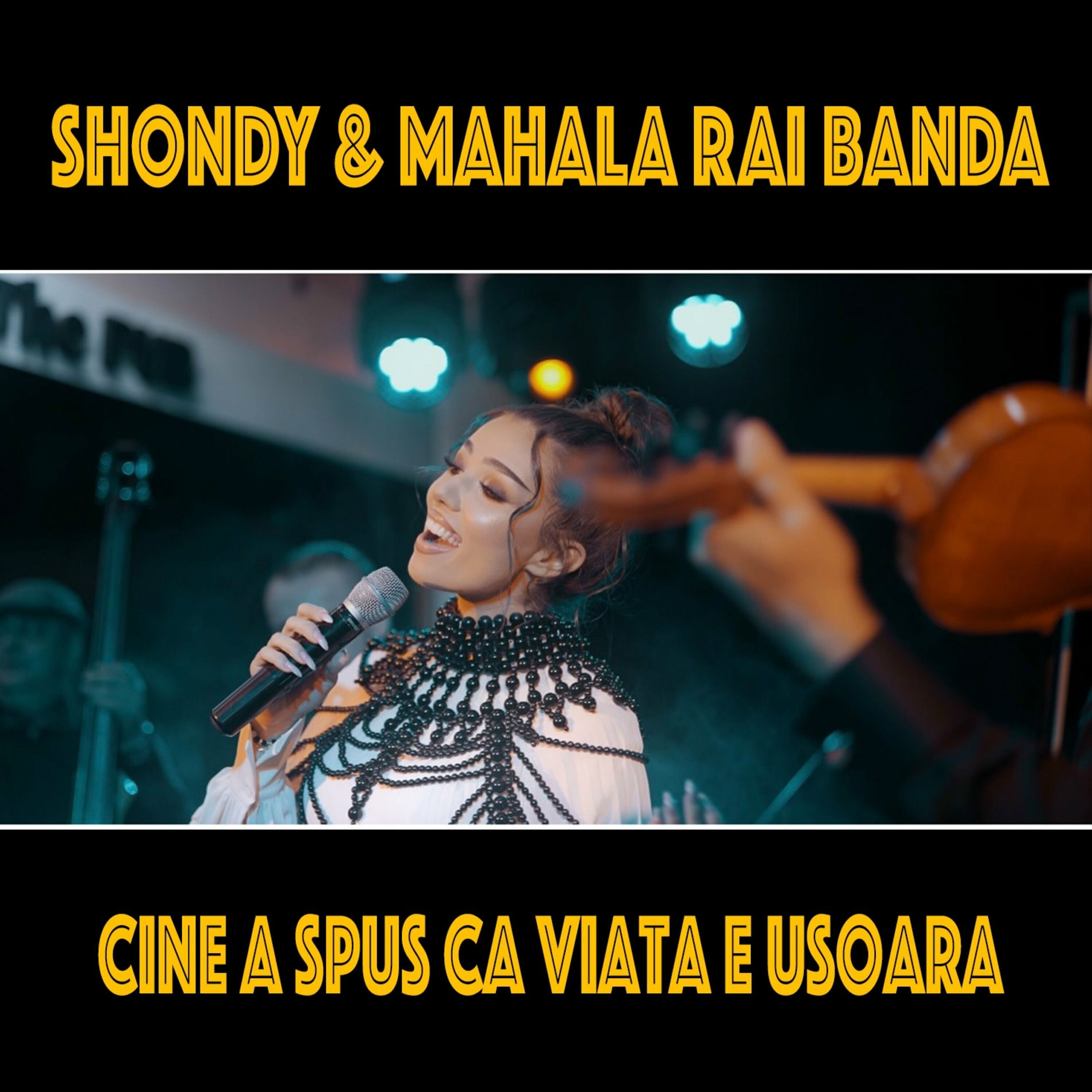 Album cover of Cine A Spus Ca Viata e Usoara