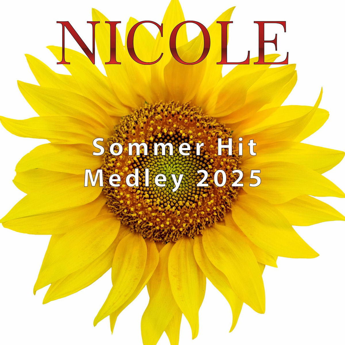 Album cover of Sommer Hit Medley 2025: Mit Dir vielleicht / Ich hab Dich doch lieb / Dann küss mich doch / Flieg nicht so hoch mein kleiner Freun