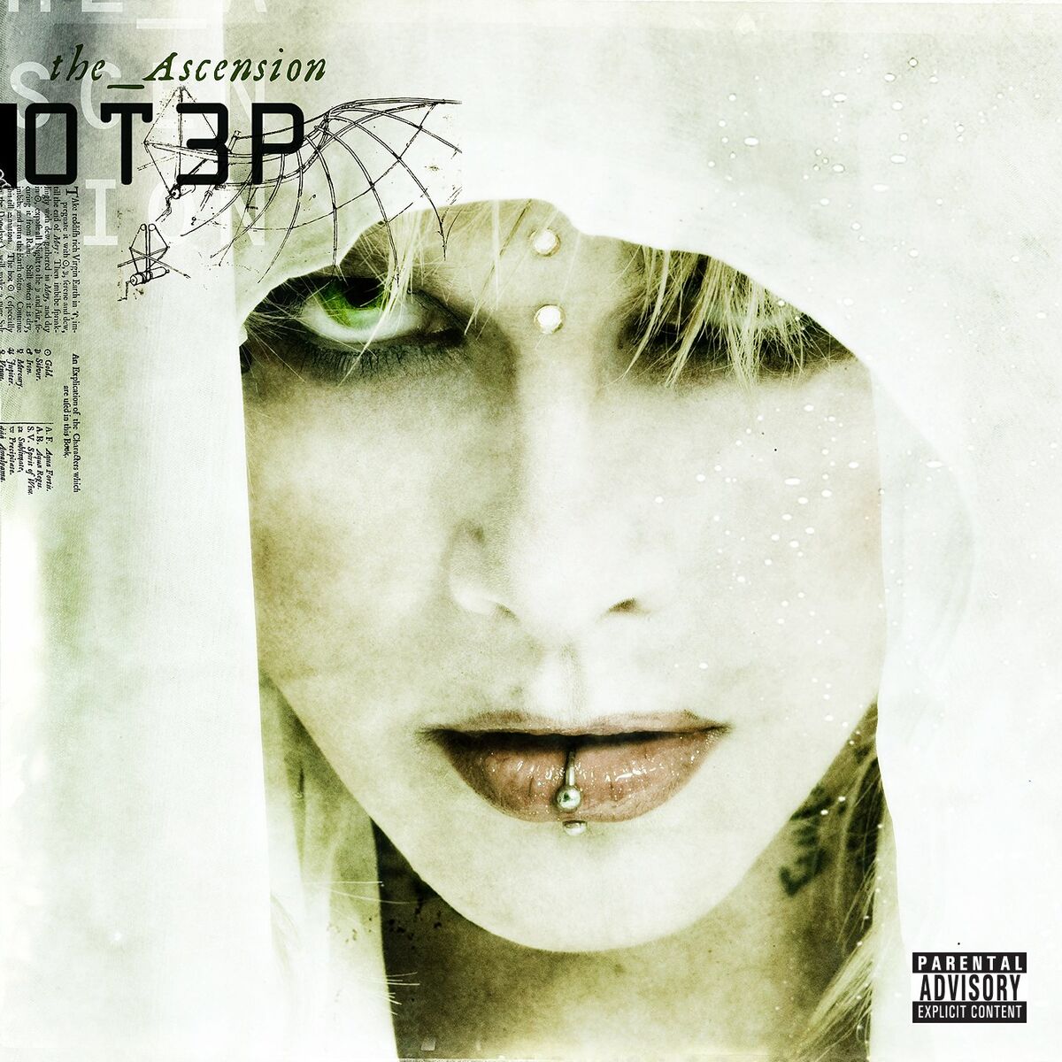 Album cover of The Ascension