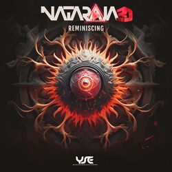 Cover of Reminiscing