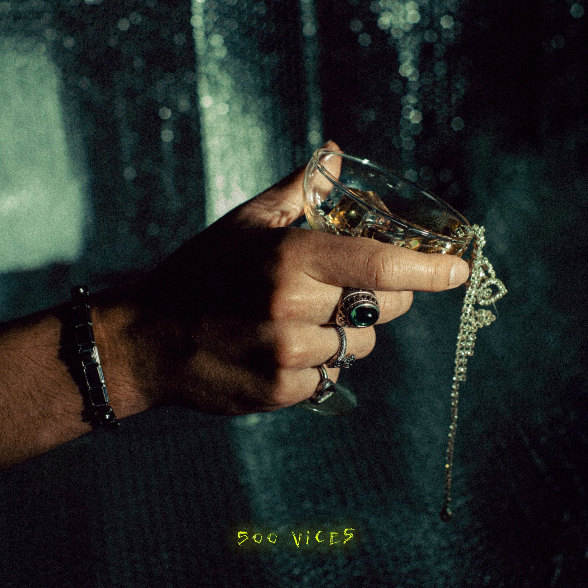 Album cover of 500 Vices