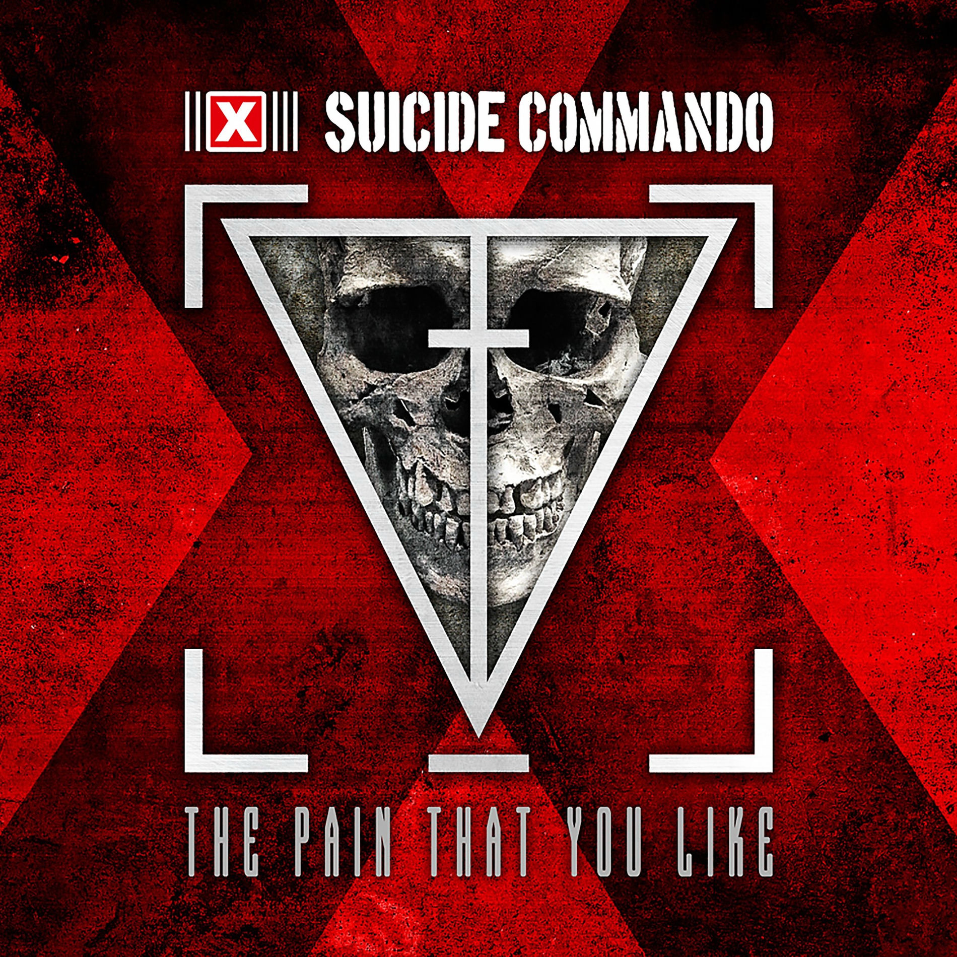 Album cover of The Pain That You Like