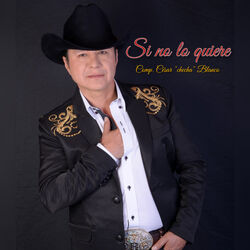 Cover of Si No Lo Quiere