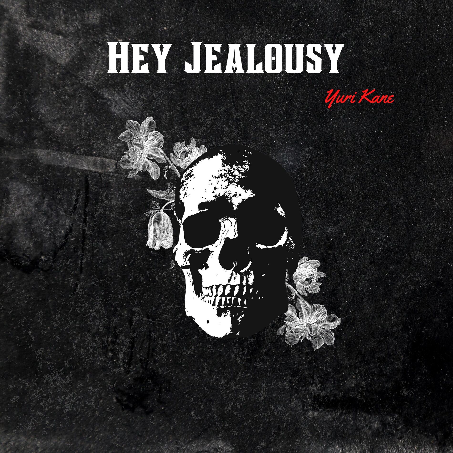 Album cover of Hey Jealousy