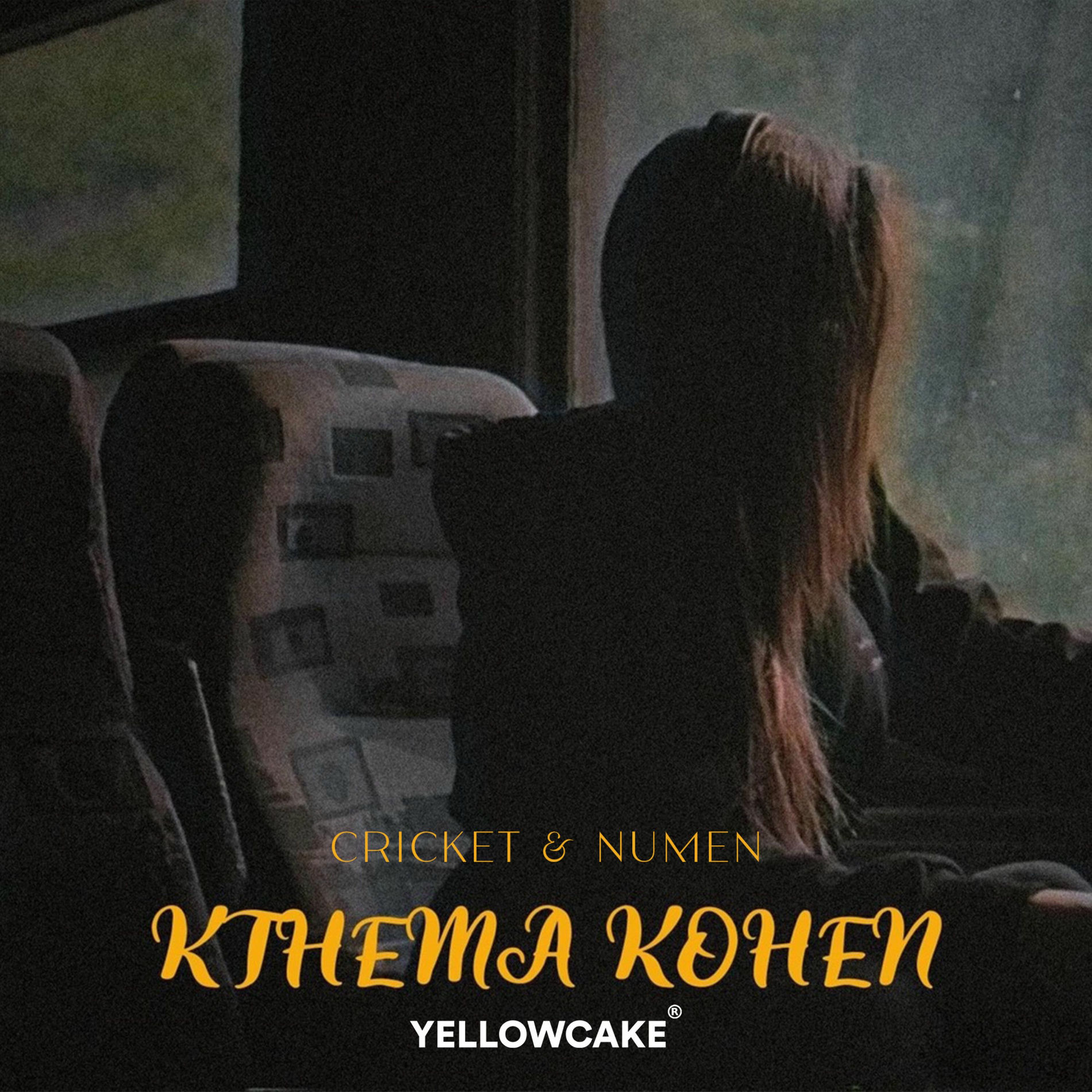 Album cover of Kthema Kohen