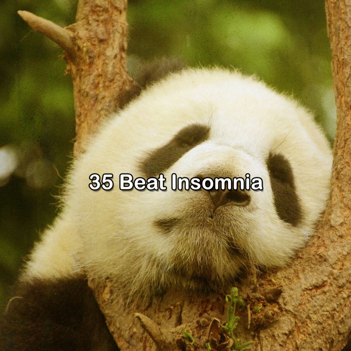 Album cover of 35 Beat Insomnia