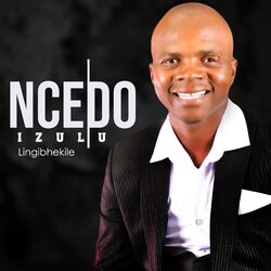 Cover of Izulu lingibhekile
