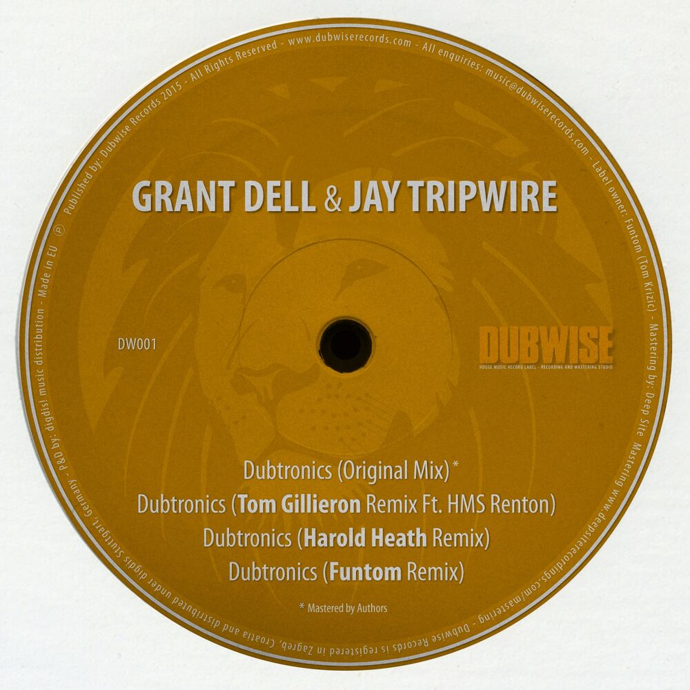 Picture of Dubtronics