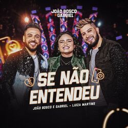 Cover of Se Não Entendeu (Ao Vivo)