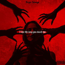 I Like the Way You Touch Me