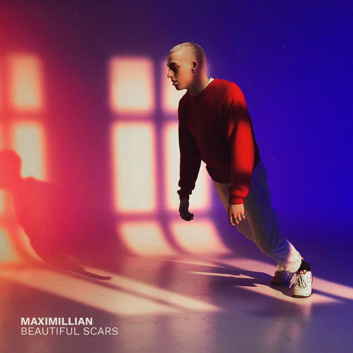 Album cover of Beautiful Scars