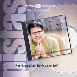 Cover of A Sus Pies (Pistas) [Instrumental]