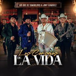 Cover of Los Consejos de la Vida