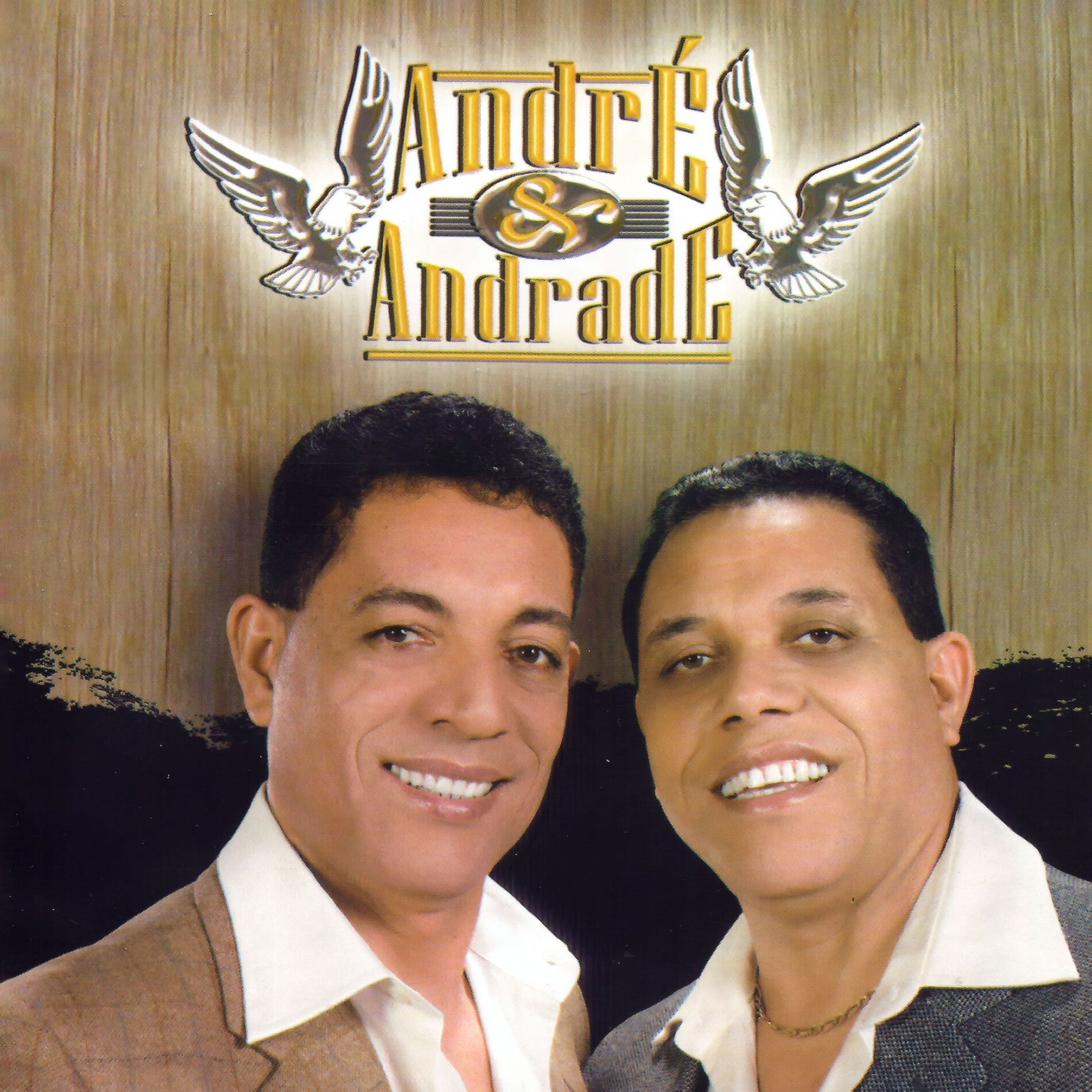 Album cover of Pássaro Sem Ninho