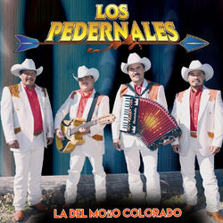 Cover of La del Moño Colorado